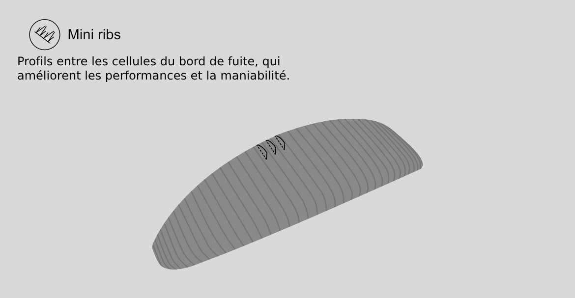 miniribs